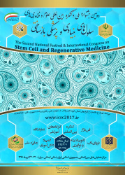 دومین جشنواره ملی و کنگره بین المللی علوم و فناوری های سلولهای بنیادی و پزشکی باز ساختی